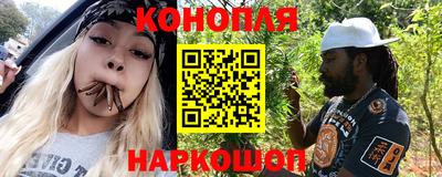 сатива Кулебаки