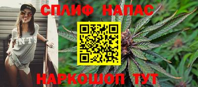 сатива Кулебаки