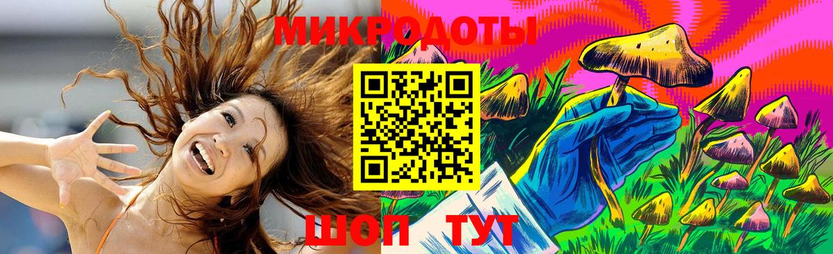 Галлюциногенные грибы Psilocybine cubensis Керчь