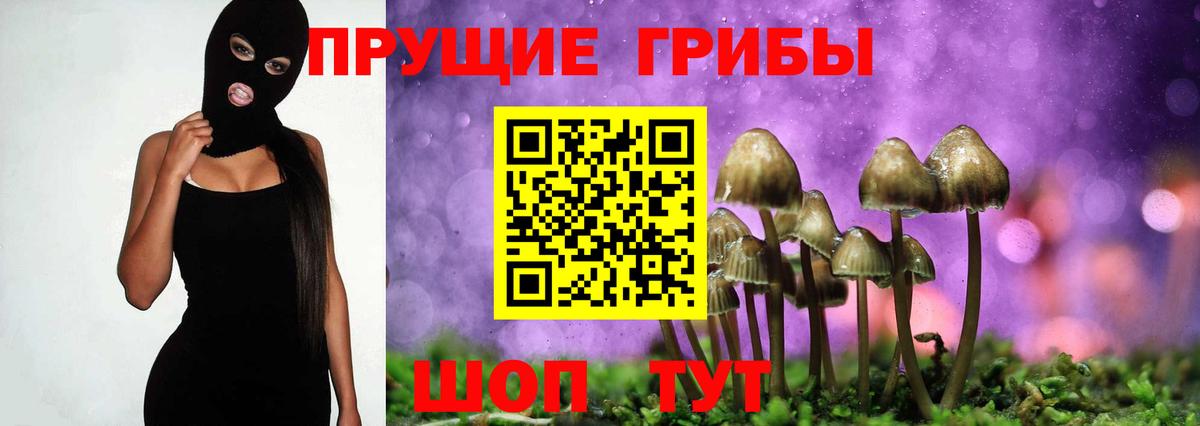Галлюциногенные грибы Cubensis  Вход с VPN  Керчь 